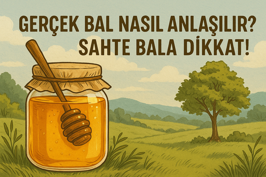 Gerçek Bal Nasıl Anlaşılır? Sahte Bala Dikkat!